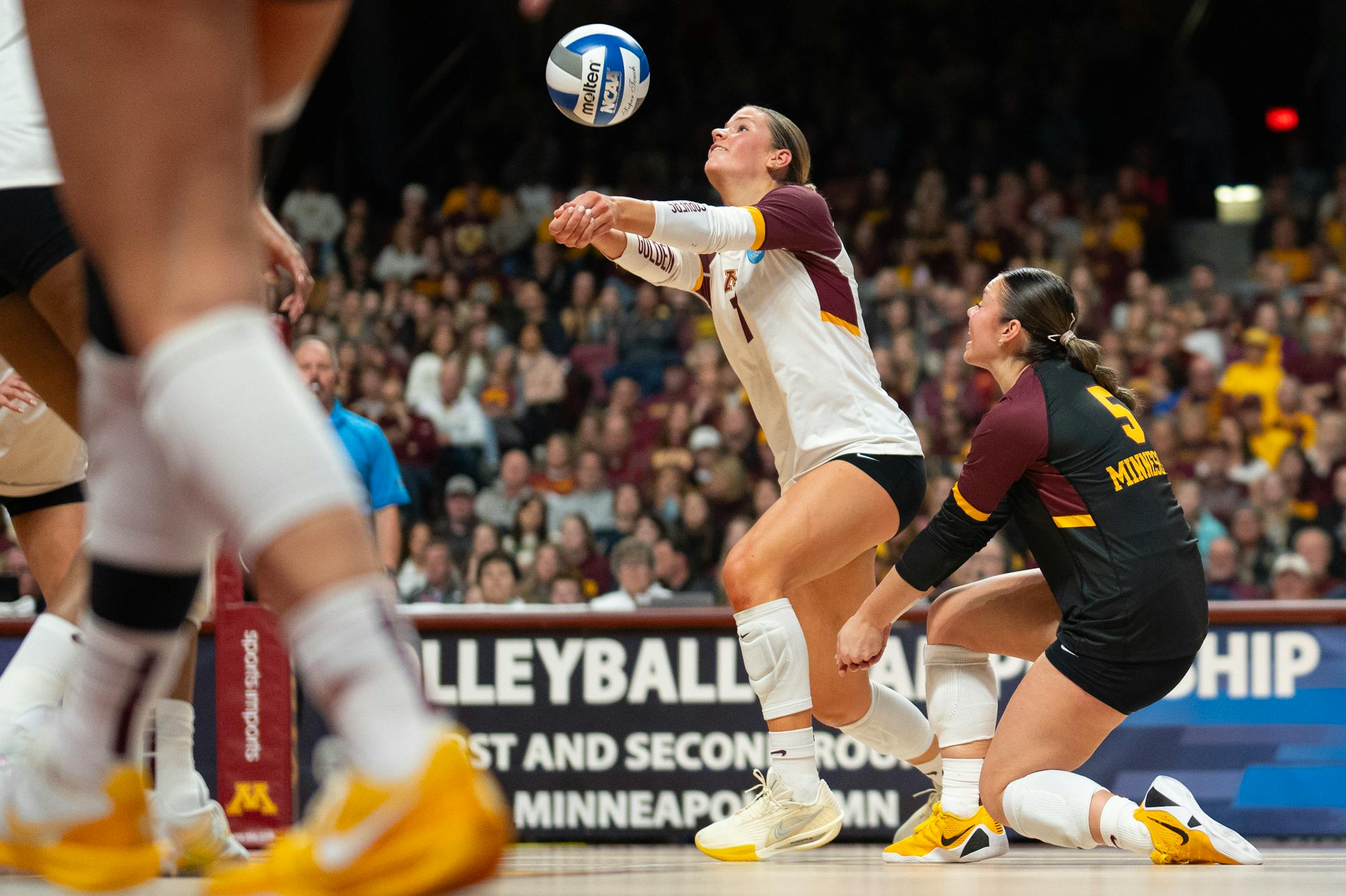 Gophers volleyball enters season with battle-tested roster after Sweet 16 run